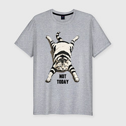 Футболка slim-fit Ленивый кот - not today, цвет: меланж