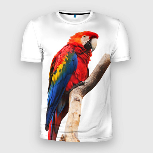 Мужская спорт-футболка Яркий попугай / 3D-принт – фото 1