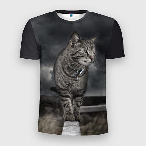 Мужская спорт-футболка Кот / 3D-принт – фото 1