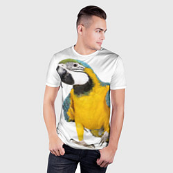 Футболка спортивная мужская Попугай ара, цвет: 3D-принт — фото 2