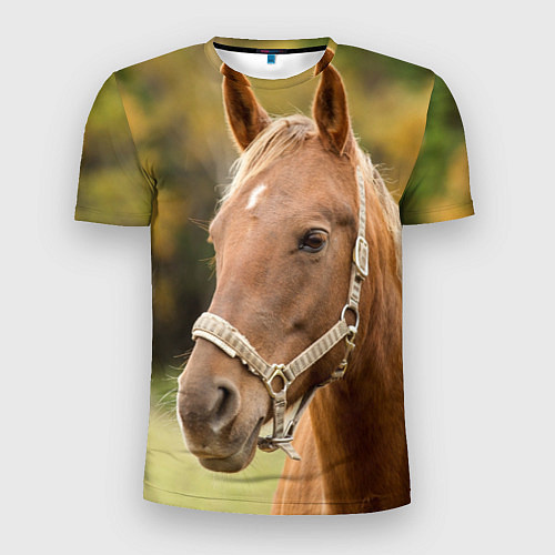 Мужская спорт-футболка Взгляд лошади / 3D-принт – фото 1