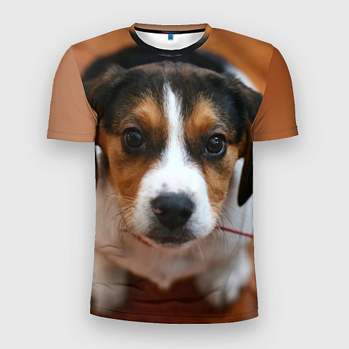 Мужская спорт-футболка Глазастый щенок / 3D-принт – фото 1