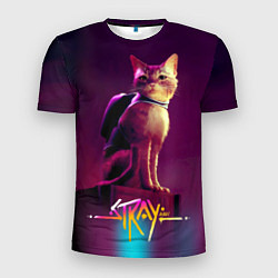 Мужская спорт-футболка Stray cat кот бродяга