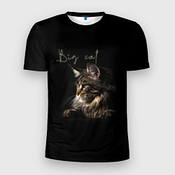 Мужская спорт-футболка Big cat Maine Coon