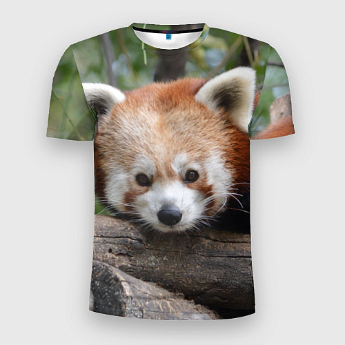 Мужская спорт-футболка Красная панда / 3D-принт – фото 1