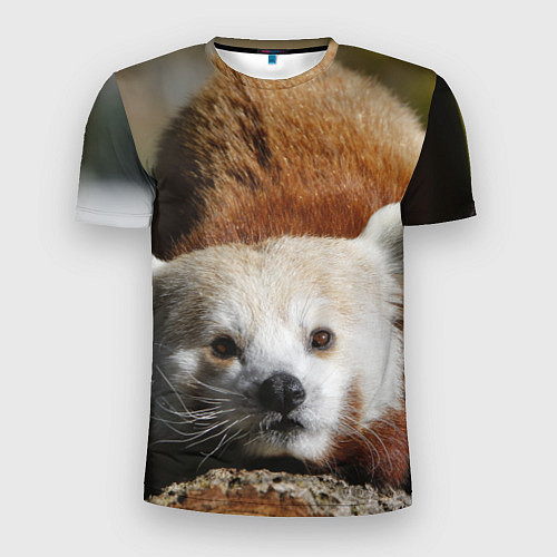 Мужская спорт-футболка Красная панда ждёт / 3D-принт – фото 1