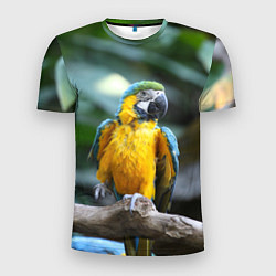 Мужская спорт-футболка Красавец попугай