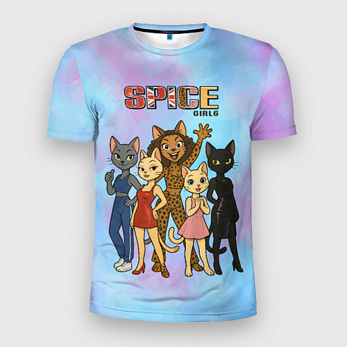 Мужская спорт-футболка Spice girls кошки из 90х / 3D-принт – фото 1