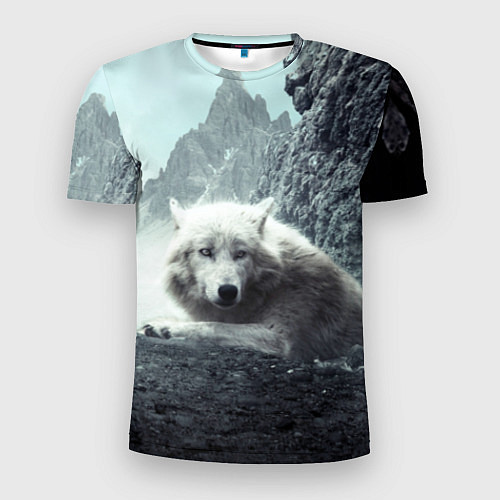 Мужская спорт-футболка Волк в горах / 3D-принт – фото 1