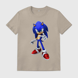 Мужская футболка ЁЖ Соник