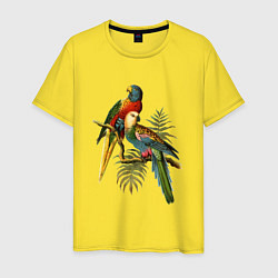 Футболка хлопковая мужская Тропические попугаи, цвет: желтый