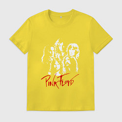 Мужская футболка Pink Floyd