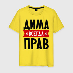 Мужская футболка Дима всегда прав