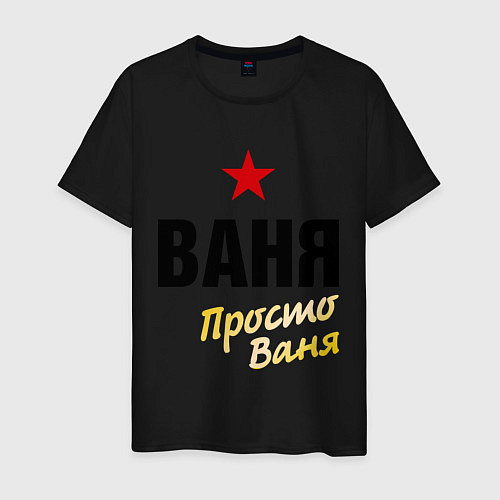 Мужская футболка Ваня, просто Ваня / Черный – фото 1