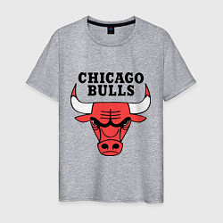 Футболка хлопковая мужская Chicago Bulls, цвет: меланж