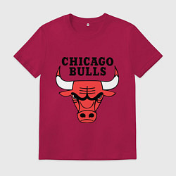Мужская футболка Chicago Bulls