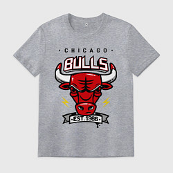 Мужская футболка Chicago Bulls est. 1966
