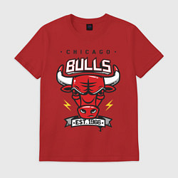 Футболка хлопковая мужская Chicago Bulls est. 1966, цвет: красный