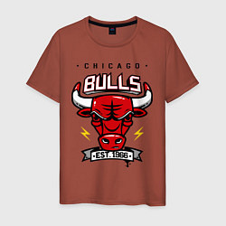 Футболка хлопковая мужская Chicago Bulls est. 1966, цвет: кирпичный