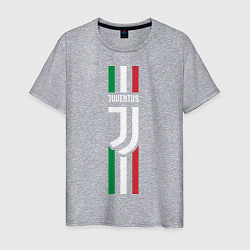 Футболка хлопковая мужская FC Juventus: Italy, цвет: меланж
