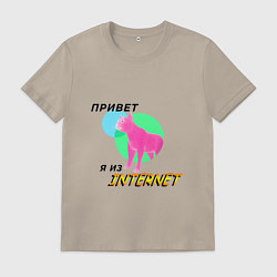 Мужская футболка Привет я из internet
