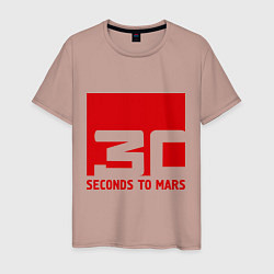 Мужская футболка 30 seconds to mars