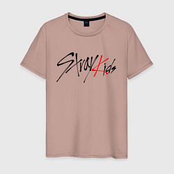 Футболка хлопковая мужская STRAY KIDS BANGCHAN, цвет: пыльно-розовый
