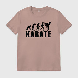Мужская футболка Karate Evolution