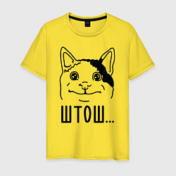 Мужская футболка Штош Вежливый котик мем