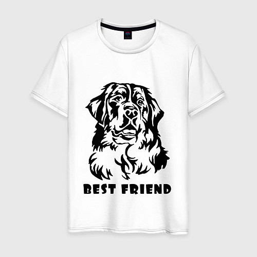 Мужская футболка BEST FRIEND Z / Белый – фото 1