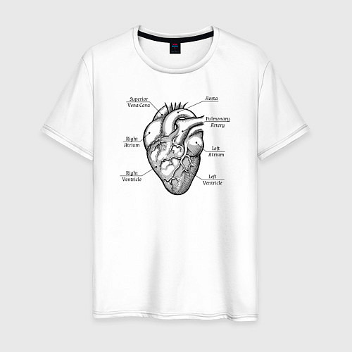 Мужская футболка Схема сердца / Белый – фото 1