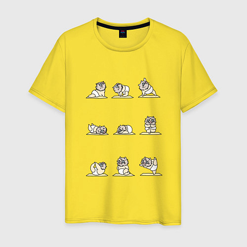 Мужская футболка ЙОГА ОТ ИНОСКЕ / Желтый – фото 1