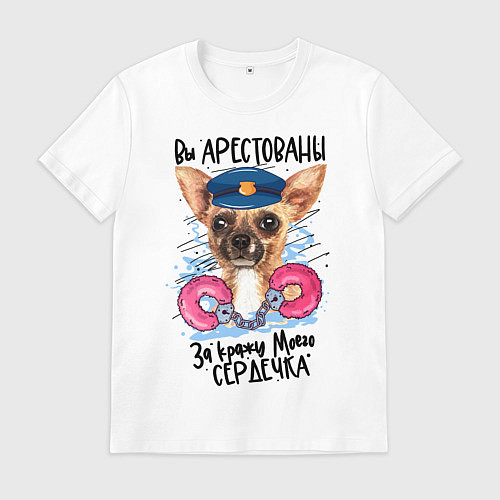 Мужская футболка Арестуй меня полностью / Белый – фото 1