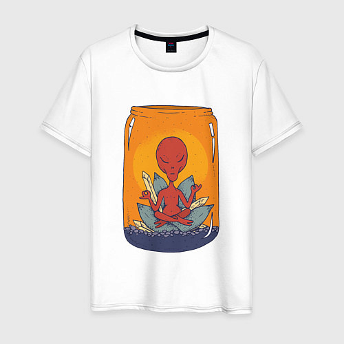 Мужская футболка Alien Meditation / Белый – фото 1