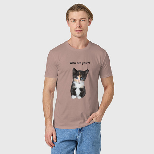 Мужская футболка Кот с вопросом / Пыльно-розовый – фото 3