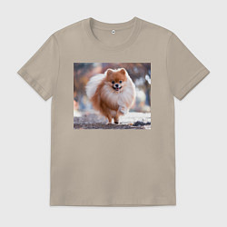 Футболка хлопковая мужская Шпиц маленький, цвет: миндальный