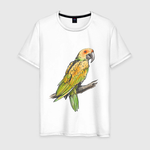 Мужская футболка Любимый попугай / Белый – фото 1
