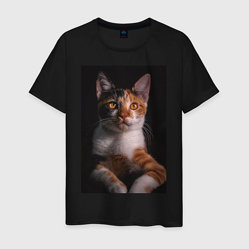 Мужская футболка Умный взгляд кота / Черный – фото 1