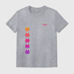 Футболка хлопковая мужская Stray: Gradient, цвет: меланж