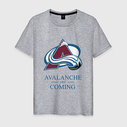 Футболка хлопковая мужская Colorado Avalanche are coming , Колорадо Эвеланш, цвет: меланж