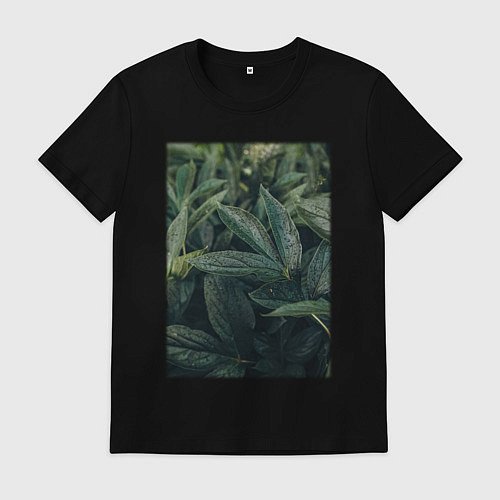 Мужская футболка Роса На Листьях / Черный – фото 1