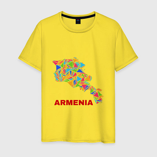 Мужская футболка Armenian Color / Желтый – фото 1