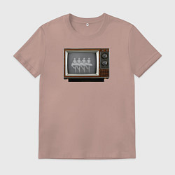 Мужская футболка Лебединое по ТВ