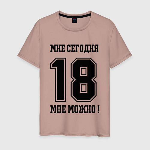 Мужская футболка Im 18 today I can Мне сегодня 18 мне можно / Пыльно-розовый – фото 1