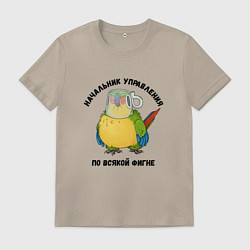 Мужская футболка Начальник всякой фигни