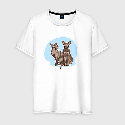 Мужская футболка Кошка Гавана Браун Кошки / Белый – фото 1
