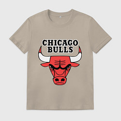 Мужская футболка Chicago Bulls