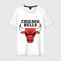 Футболка хлопковая мужская Chicago Bulls, цвет: белый