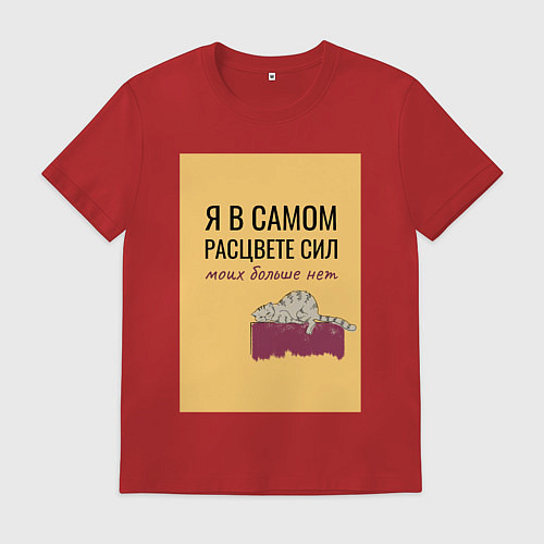 Мужская футболка Уставший кот в полном расцвете сил / Красный – фото 1