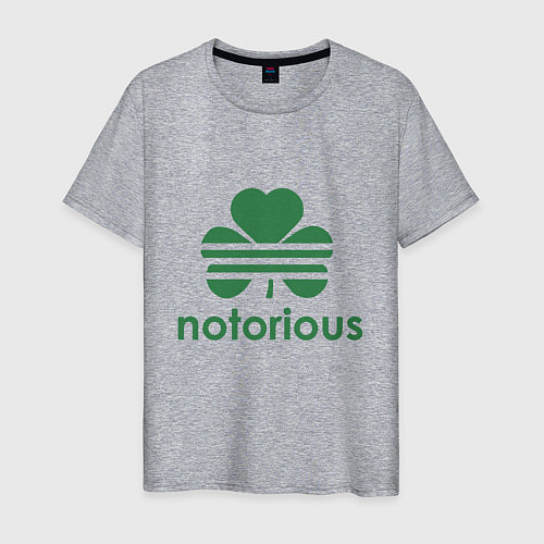 Мужская футболка Notorious - Ireland / Меланж – фото 1